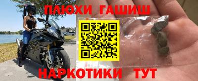 стаф Краснодар