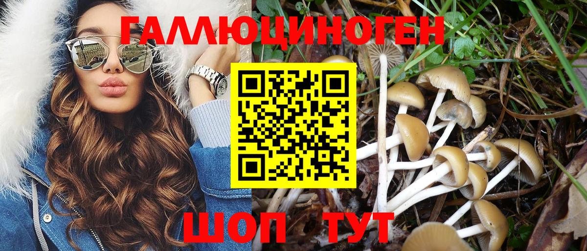 Псилоцибиновые грибы Magic Shrooms Ростов Великий