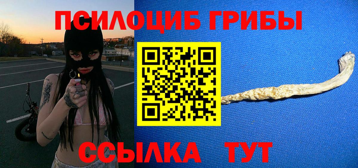 Галлюциногенные грибы MAGIC MUSHROOMS  Вход с VPN  Ростов Великий 
